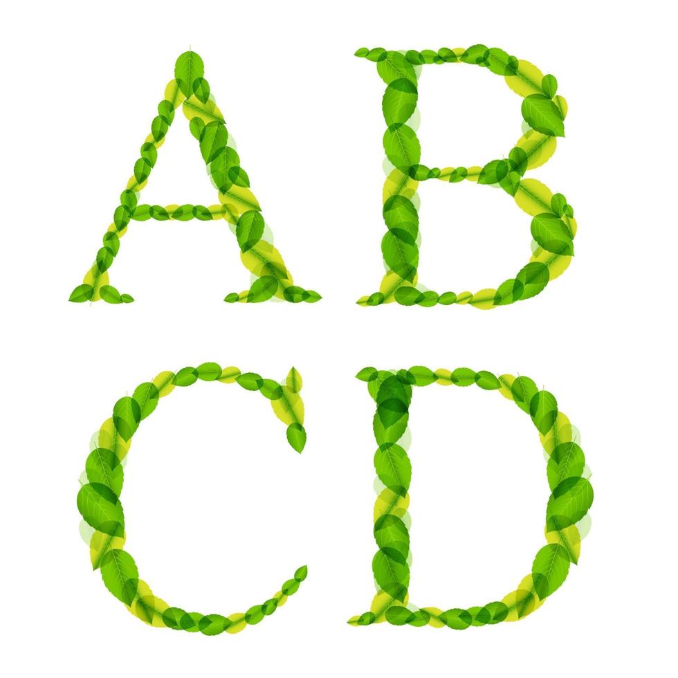 Letras del alfabeto vectorial hechas de hojas verdes de primavera. vector