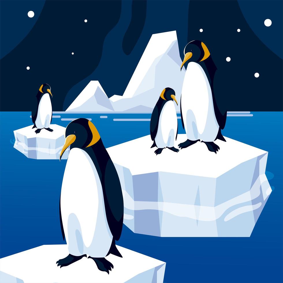 pingüinos en el cielo nocturno del mar iceberg flotante vector