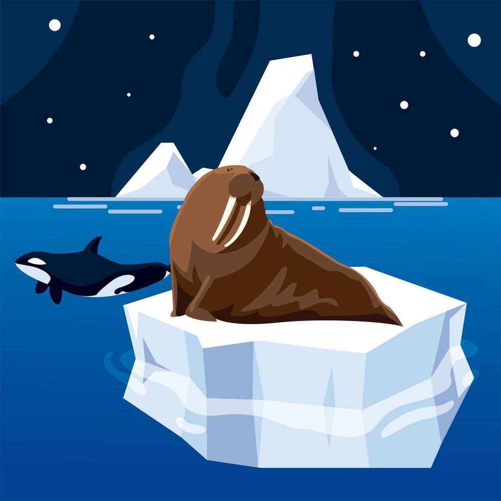 ballena orca y morsa animales polo norte y cielo nocturno de iceberg derretido vector