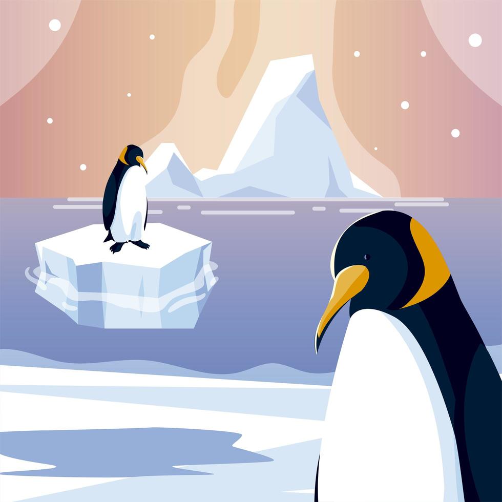 pingüinos animales iceberg polo norte mar diseño vector