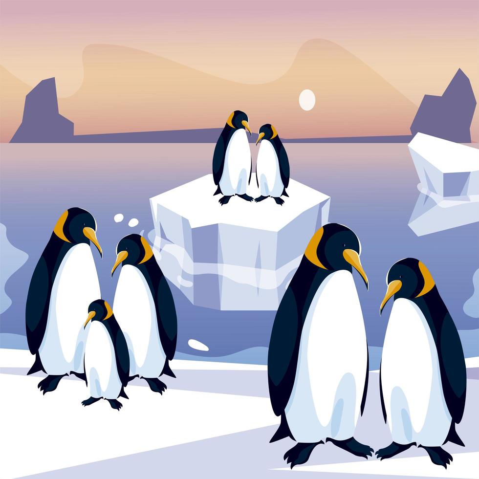 Grupo de pingüinos en iceberg polo norte mar vector