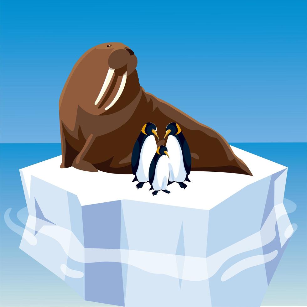 walrus and penguins on melted iceberg in the north pole vector