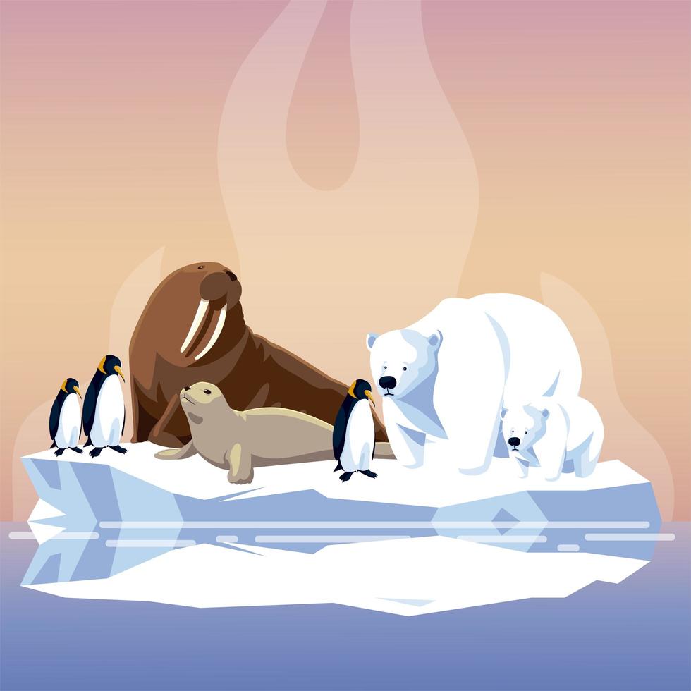 walrus penguins seal and polar bears on melted iceberg north pole vector