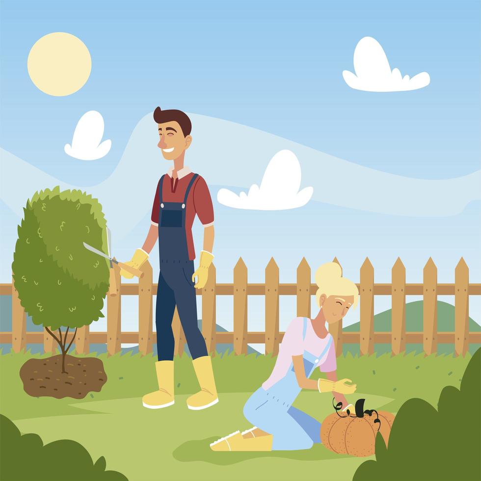 gardening, man and woman working with scissors and harvest pumpkin vector