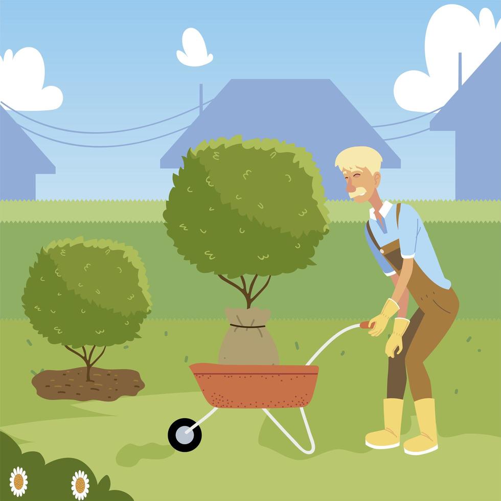 gardening, old man gardener with wheelbarrow and tree for planting vector