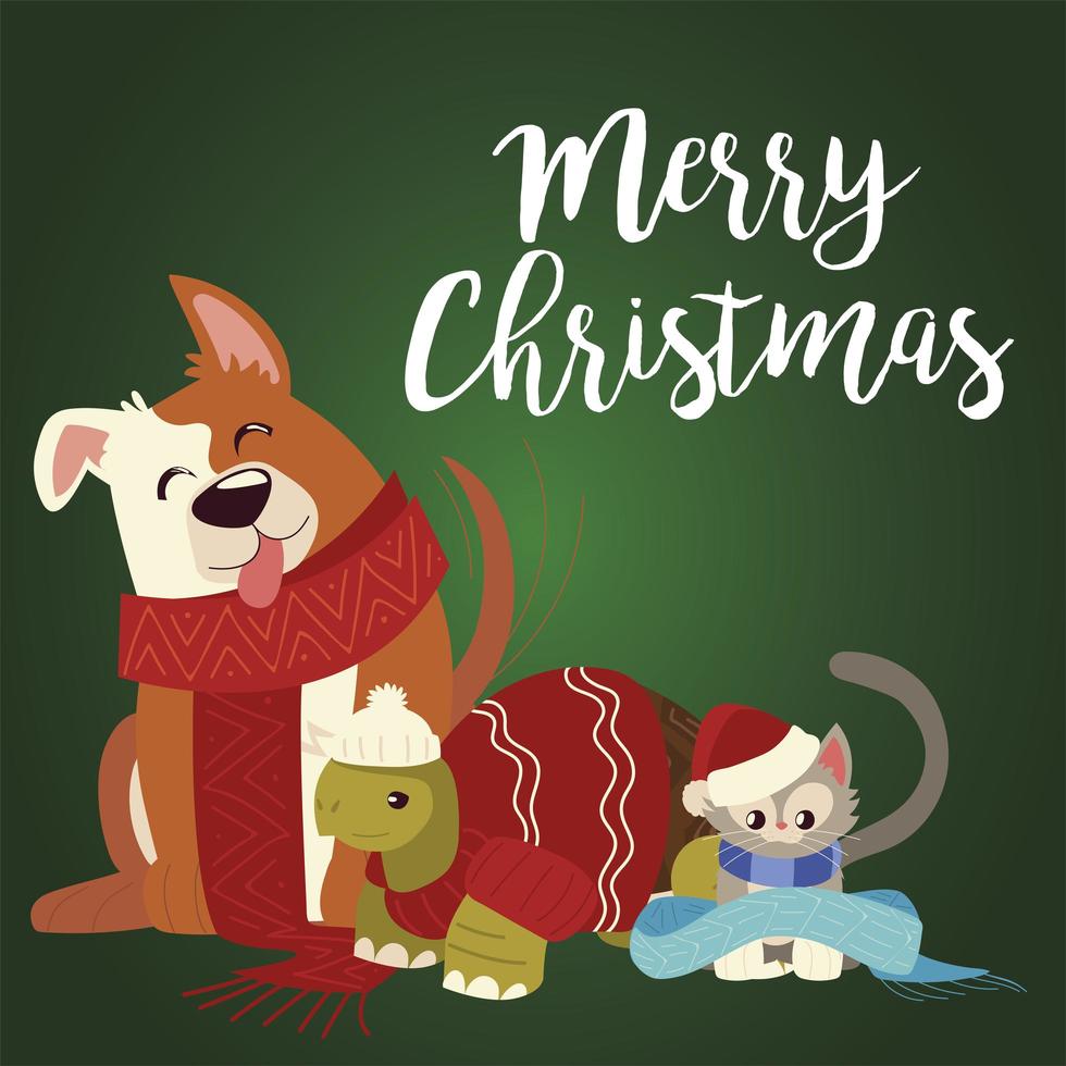 feliz navidad lindo perro tortuga y gato con bufandas de dibujos animados vector