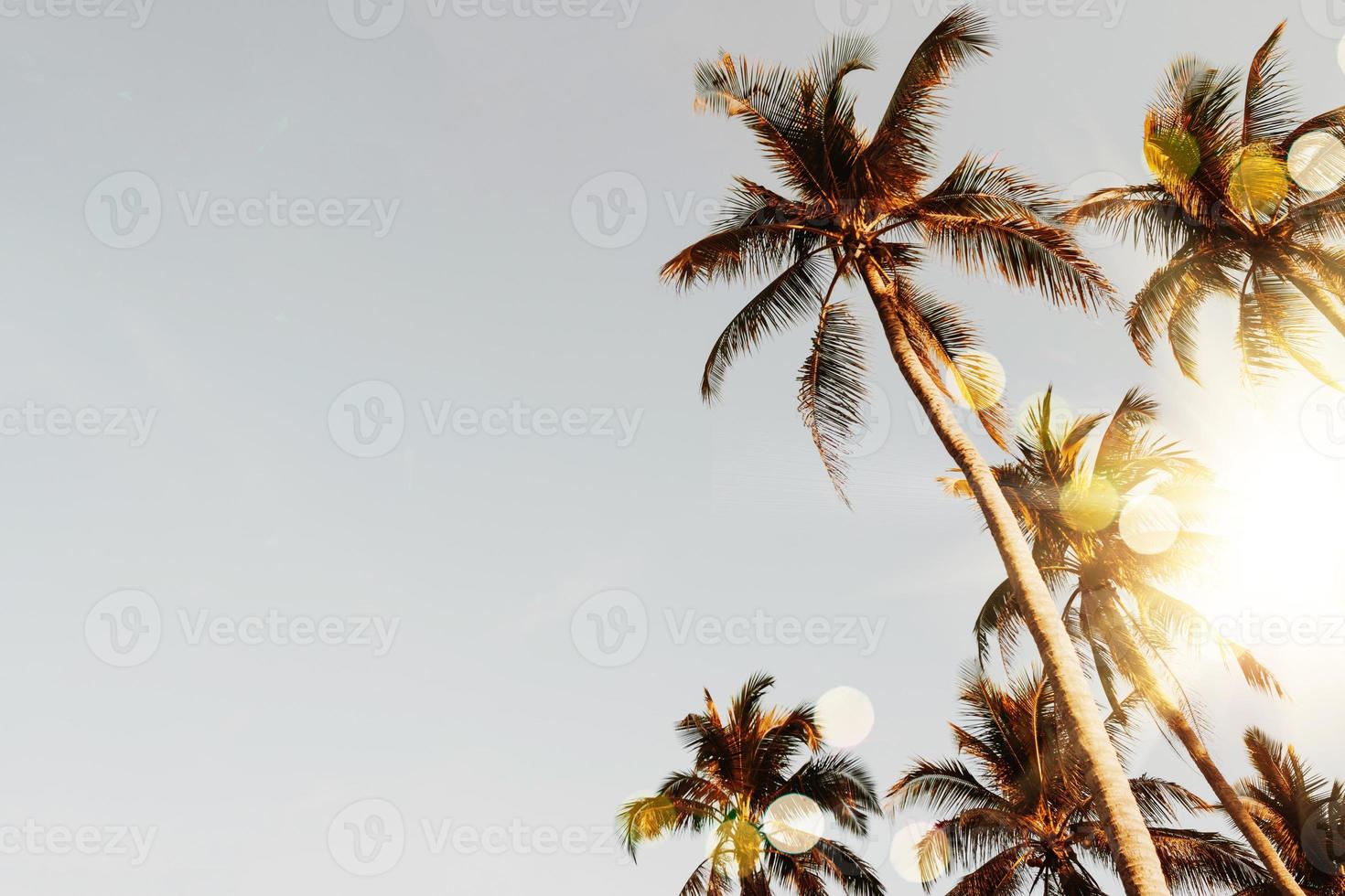 Tropical palm coconut trees on sunset sky flare photo
