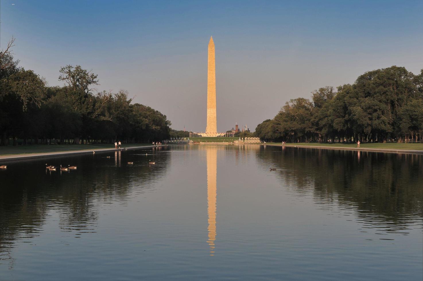 Monumento a Washington y la bandera americana en Washington DC foto