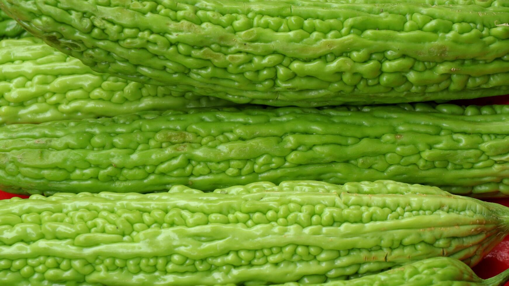 Cerrar melón amargo que se vende en los mercados tradicionales. foto