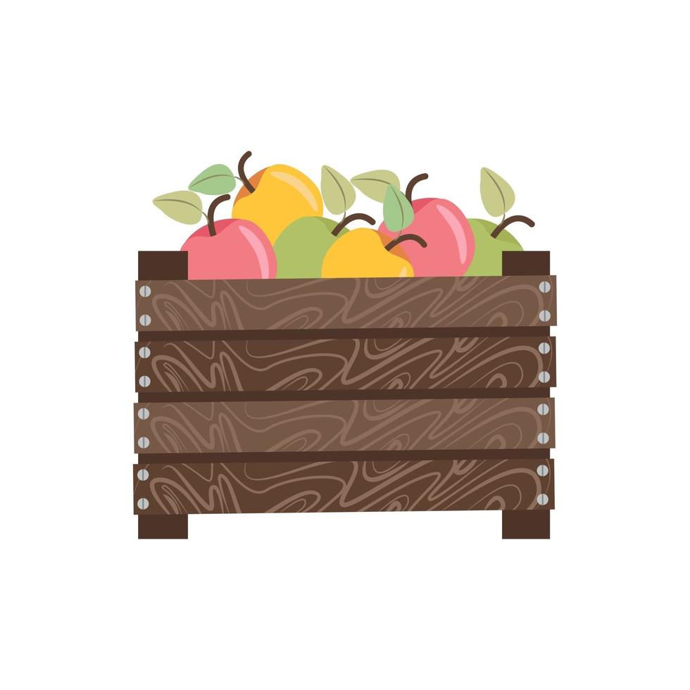Apples in wooden box, autumn harvest. Illustration in flat style vector
