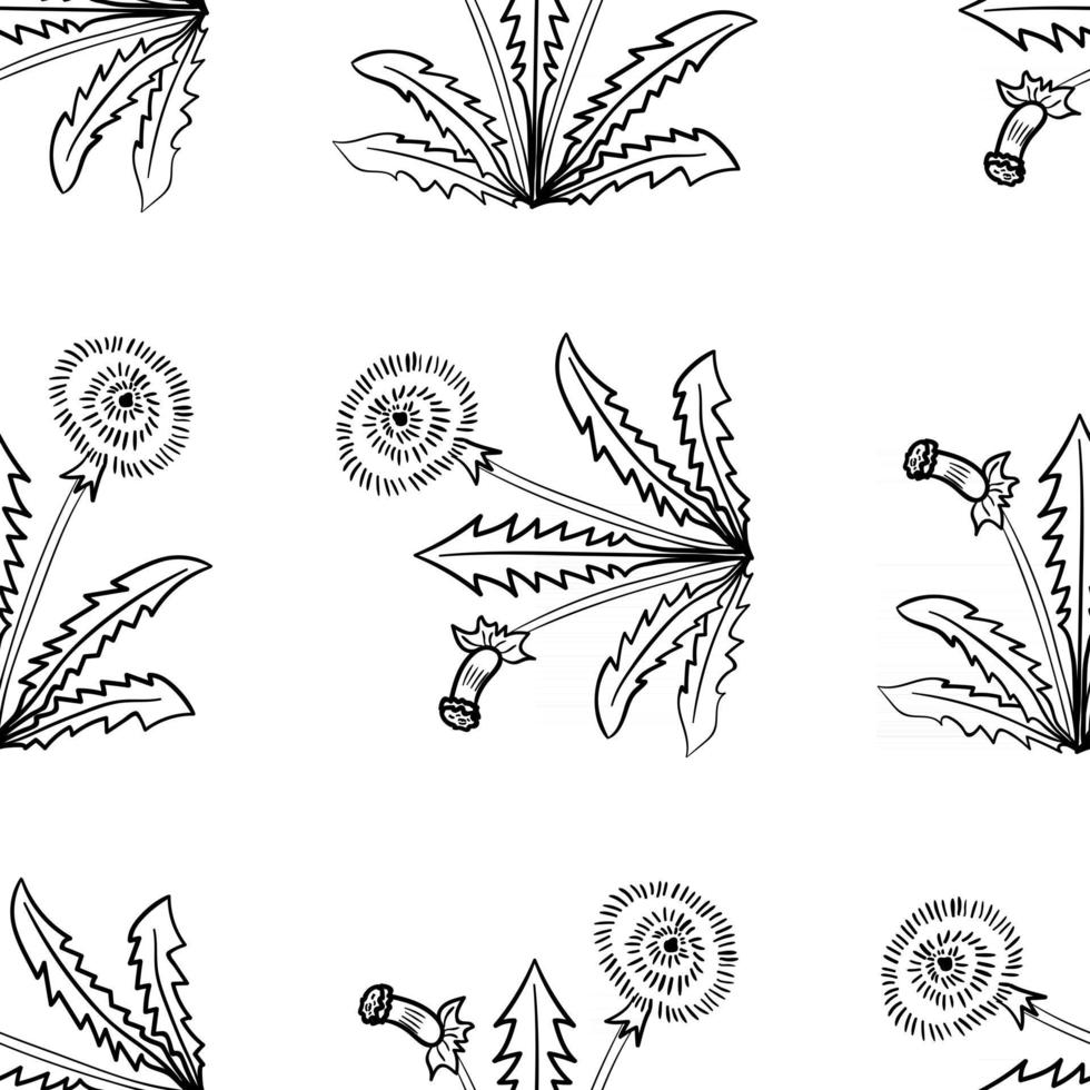 dandelion, seamless b-w vector