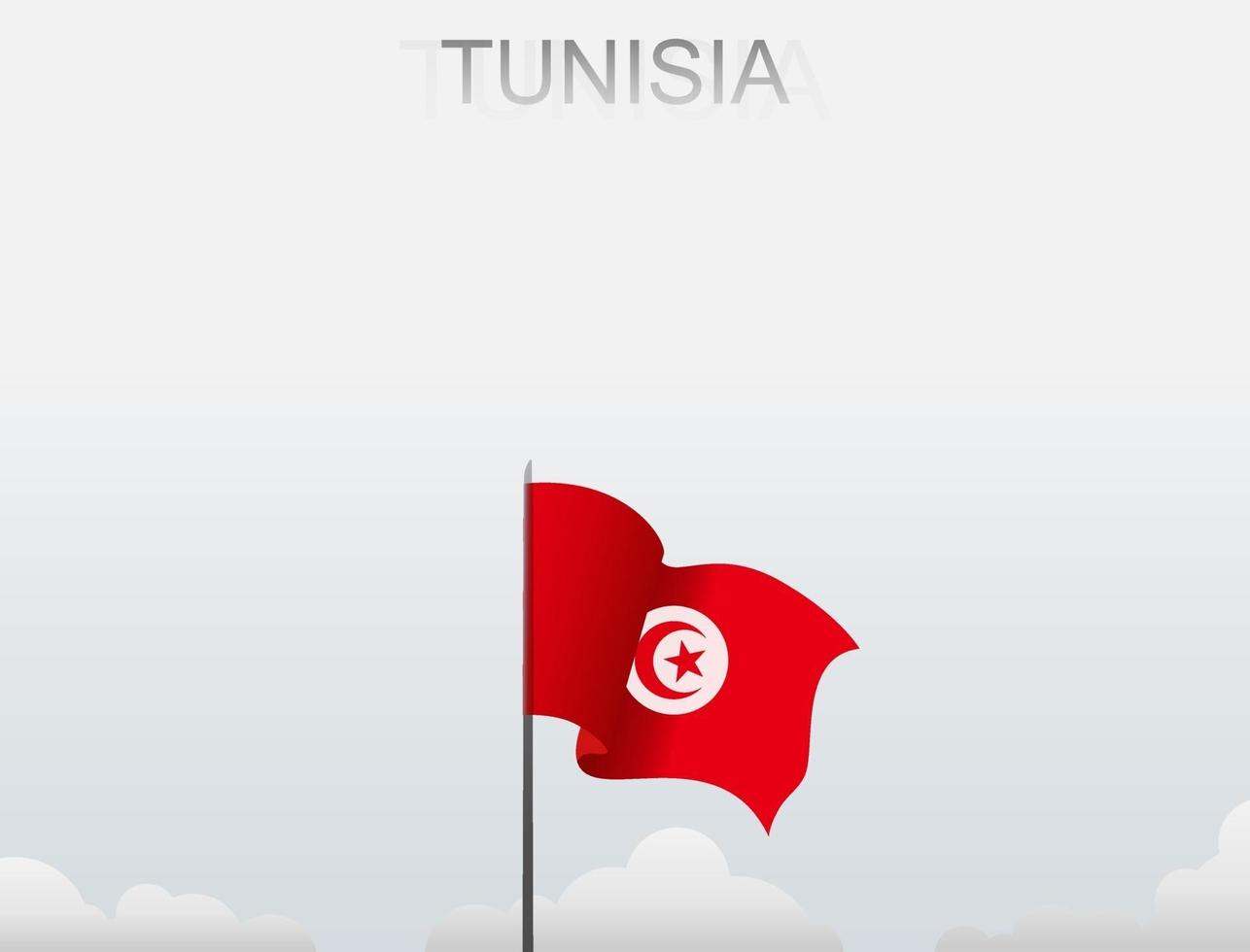 Flag of Tunisia flying under the white sky vector