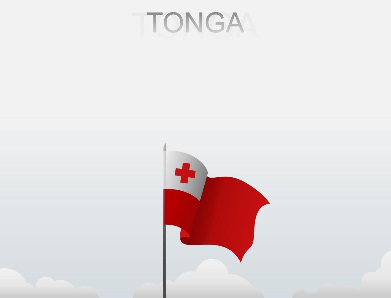 Flag of Tonga flying under the white sky vector