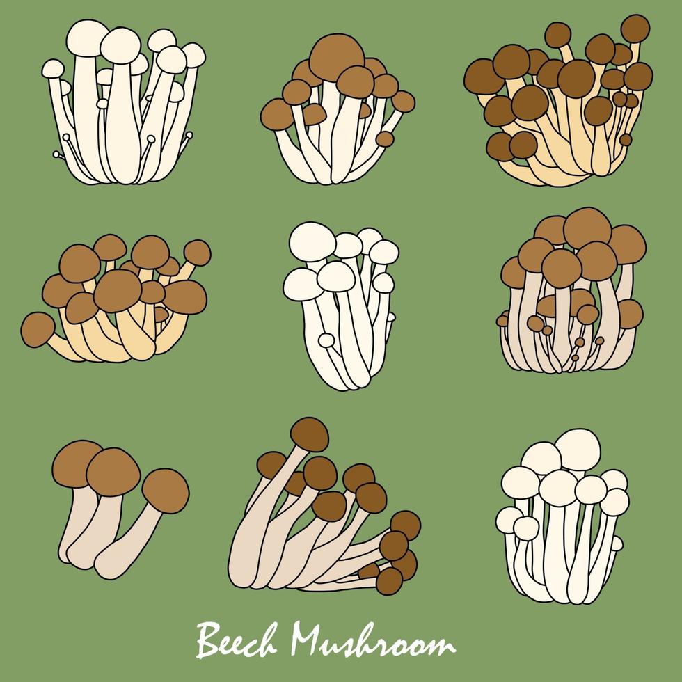 Doodle freehand sketch drawing of beech mushroom vegetable collection. vector