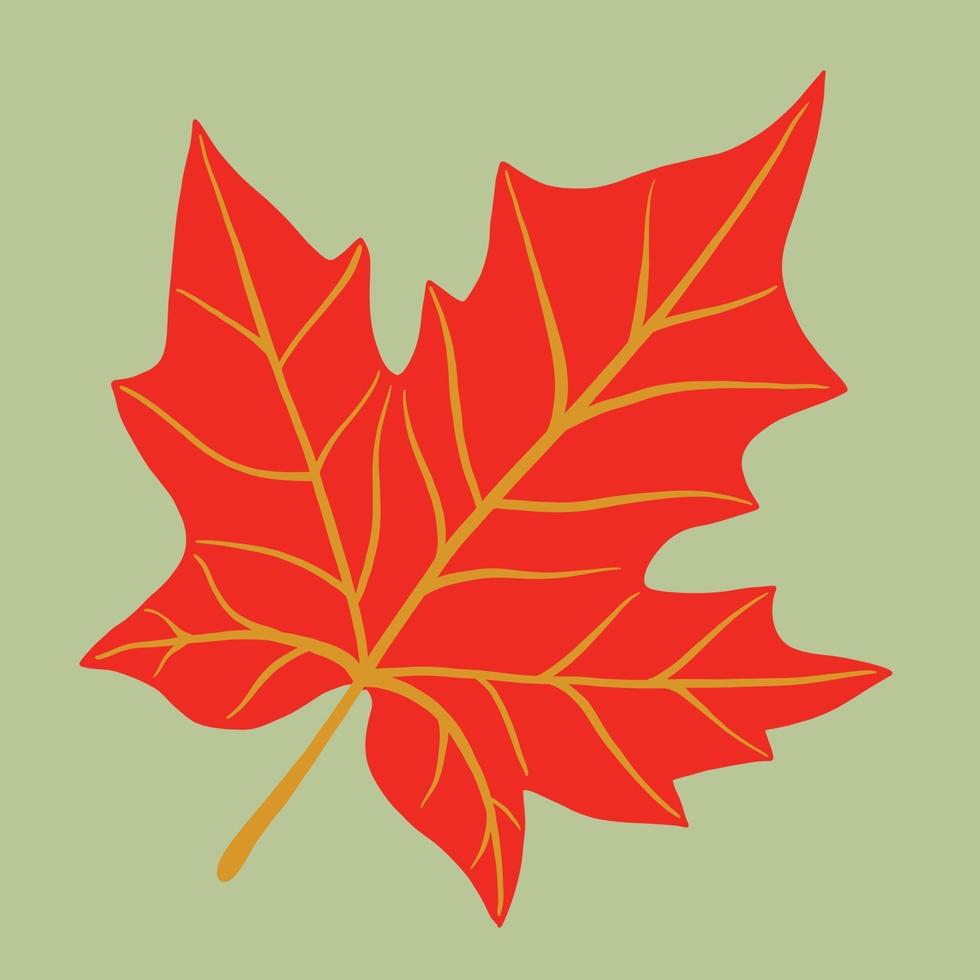 Simplicity maple leaf freehand drawing flat design. vector