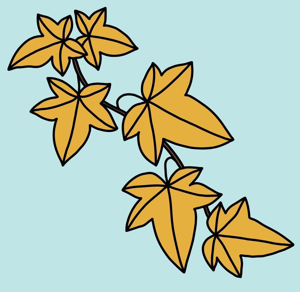 Simplicity ivy freehand drawing flat design. vector