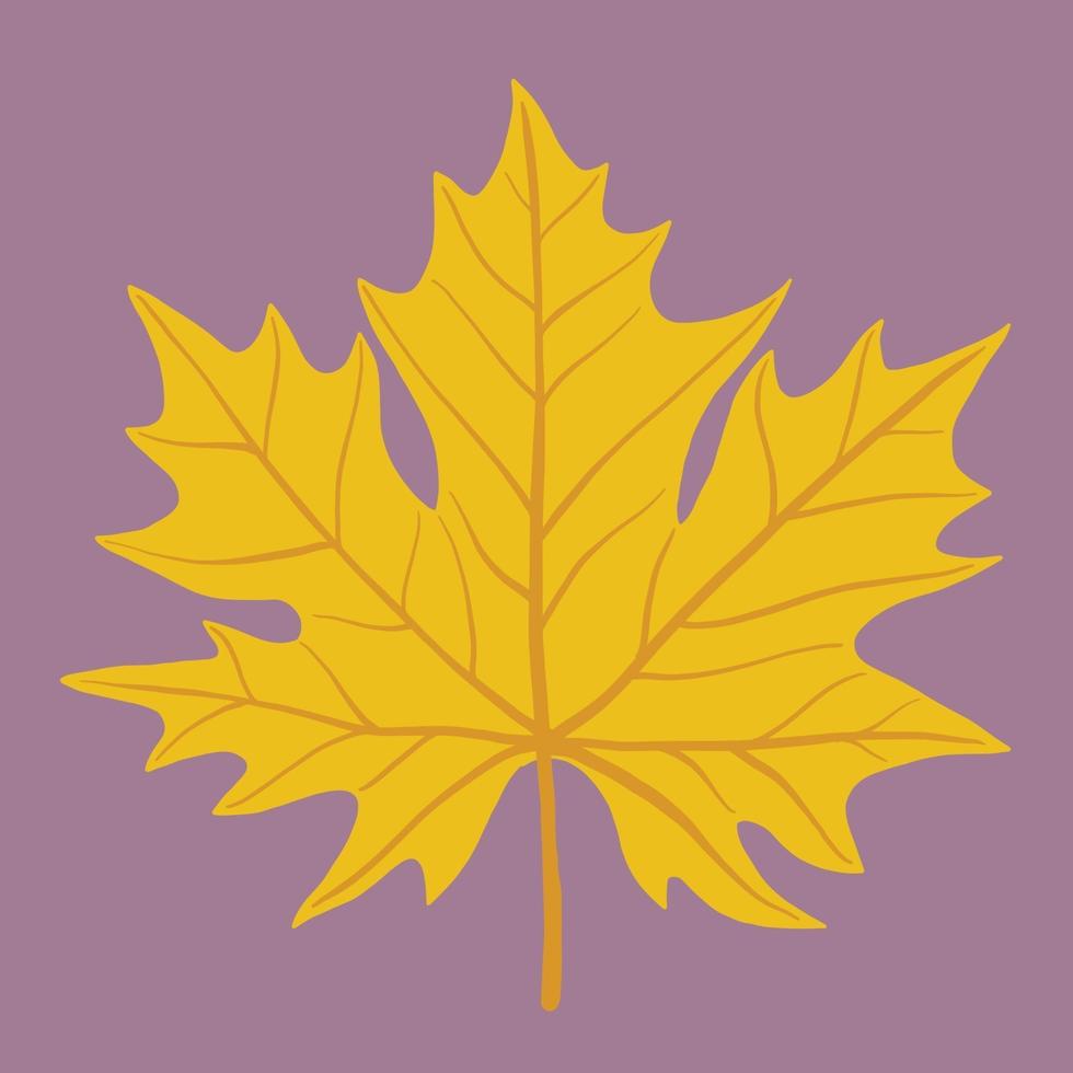 Simplicity maple leaf freehand drawing flat design. vector