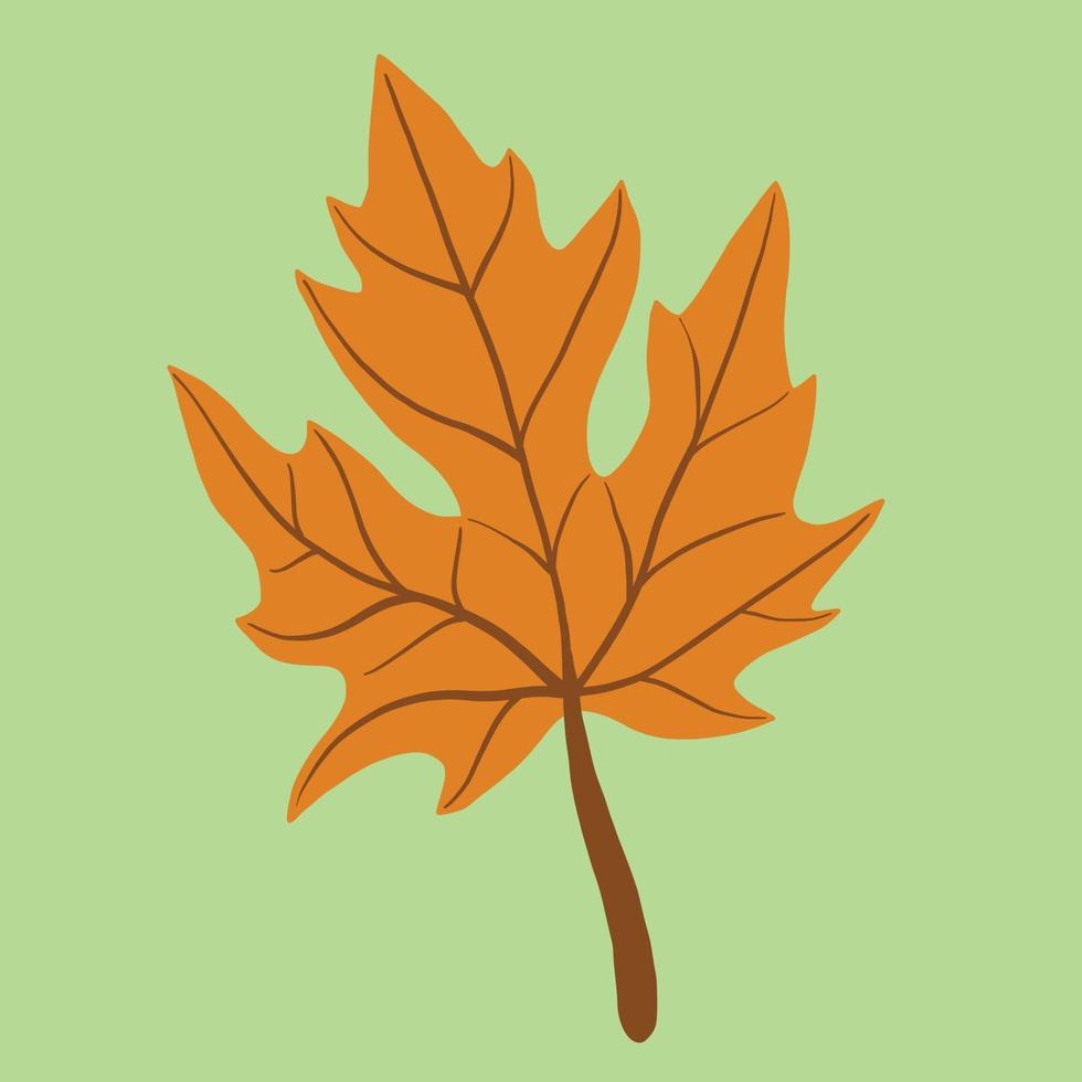 Simplicity maple leaf freehand drawing flat design. vector