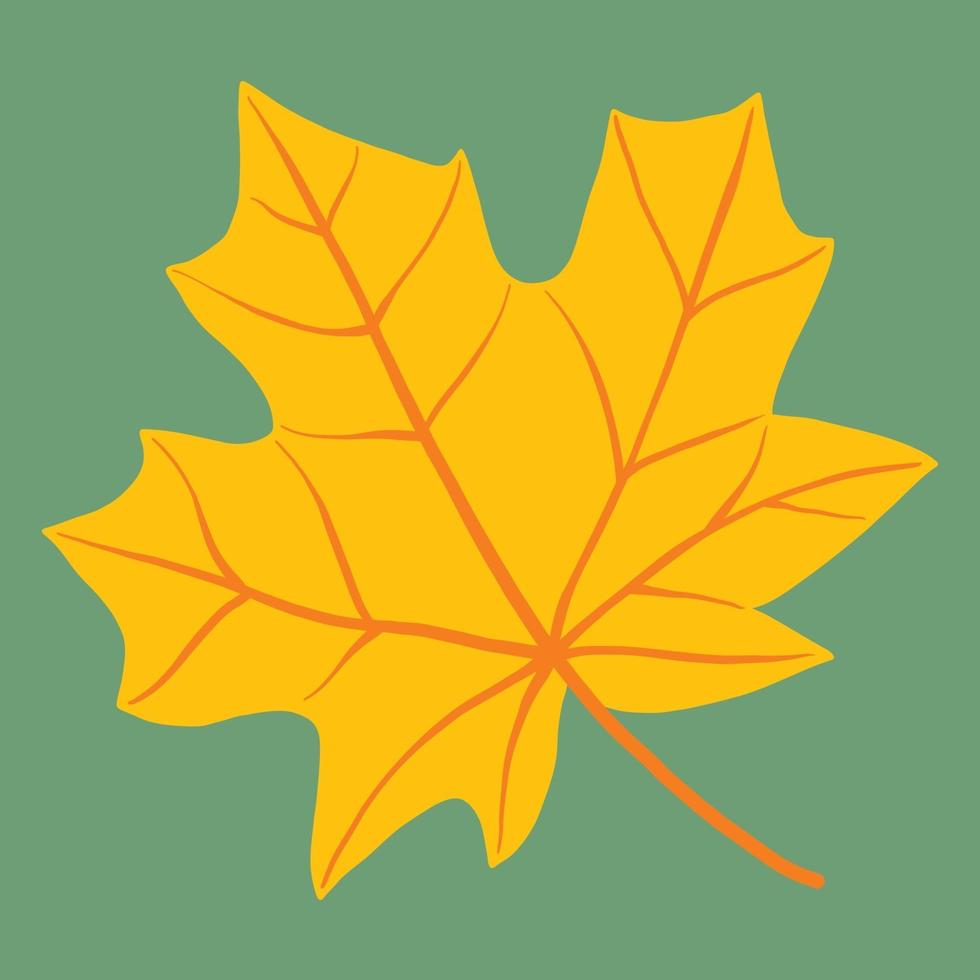 Simplicity maple leaf freehand drawing flat design. vector