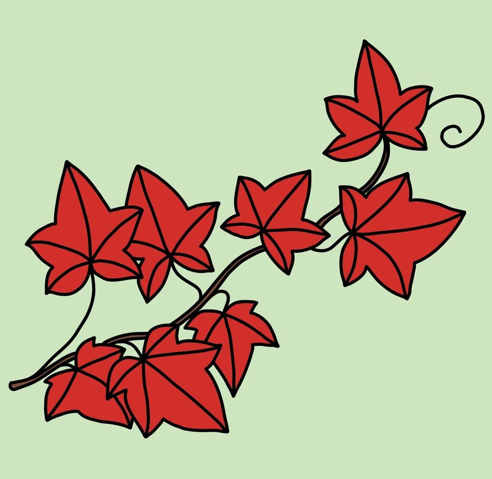 Simplicity ivy freehand drawing flat design. vector