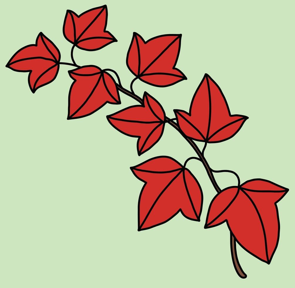 Simplicity ivy freehand drawing flat design. vector