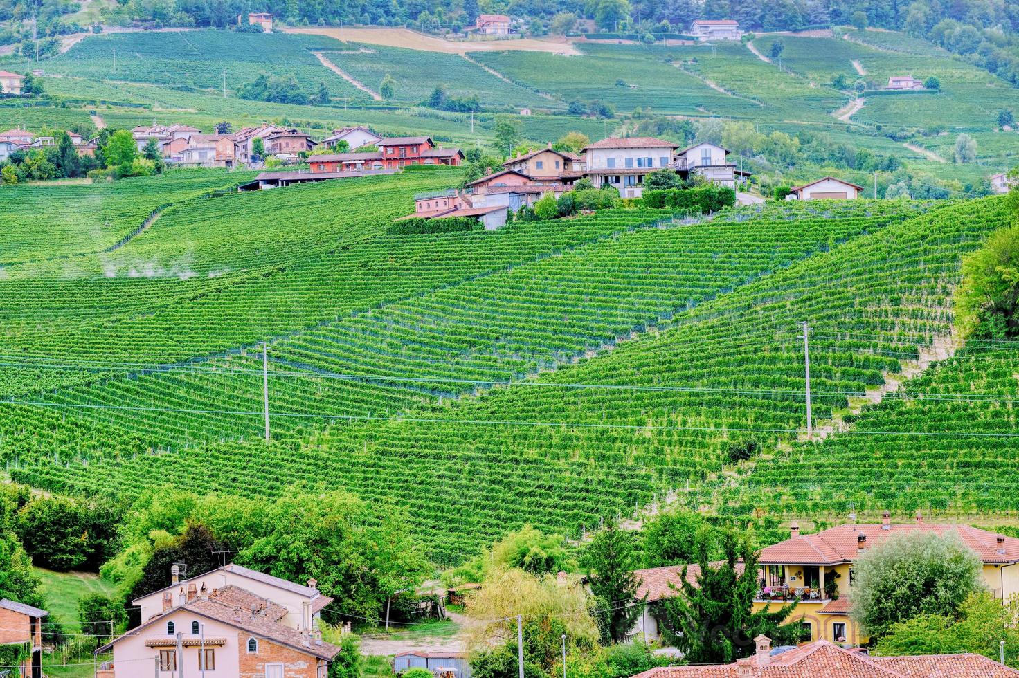 Typical vinery farm in the hilly region of Langhe, Italy. UNESCO site photo