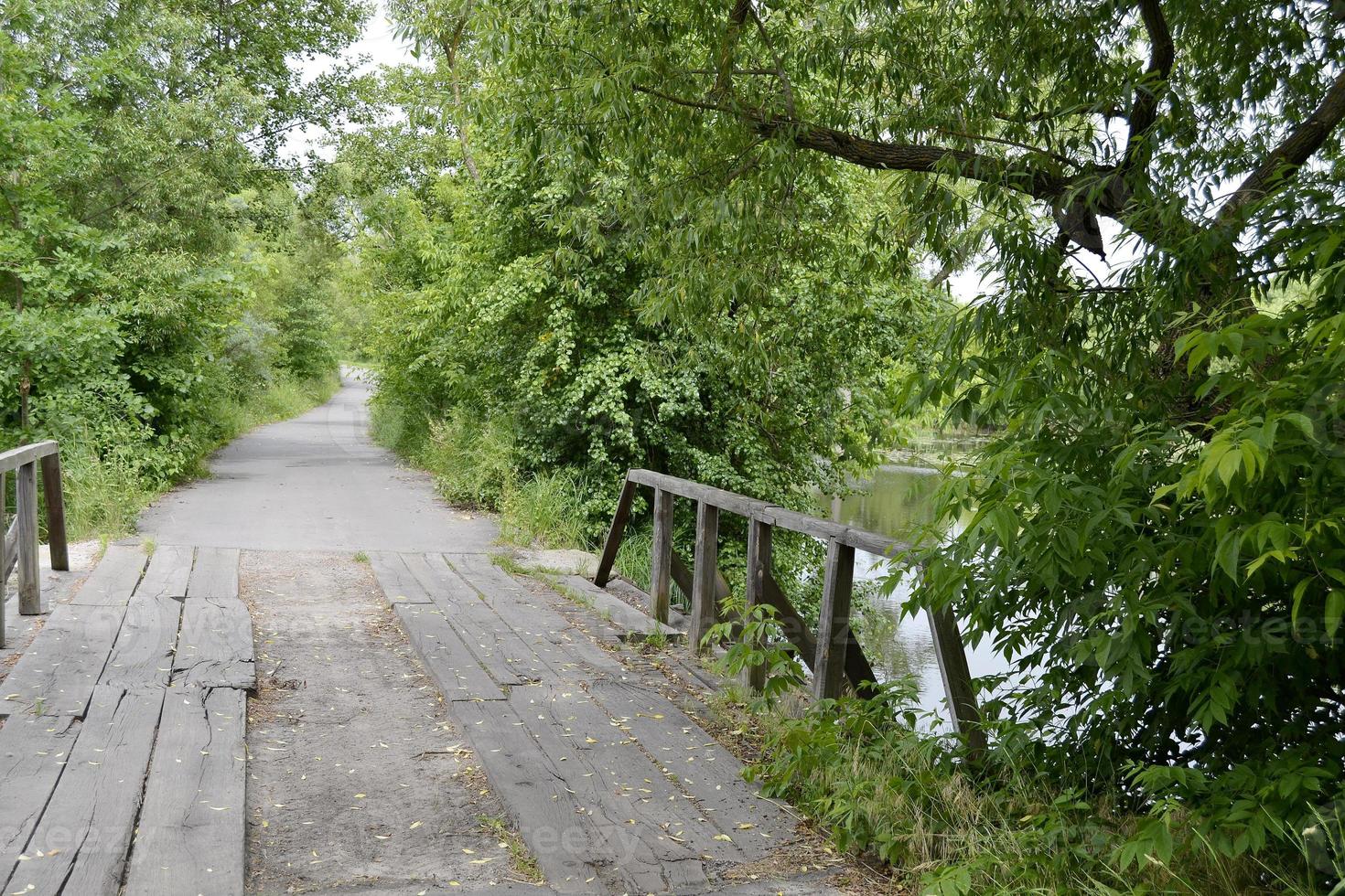 Old wooden bridge photo