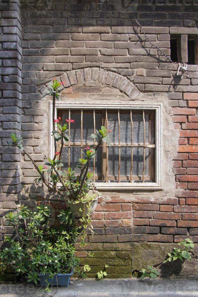 Old ruin brick plaster wall and rustic window nature plant pot photo