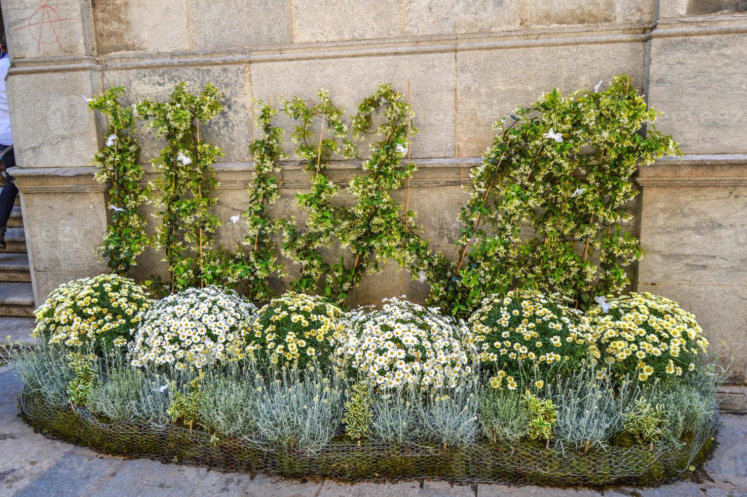 Flower Festival in Girona Temps de Flors, Spain. 2018 photo