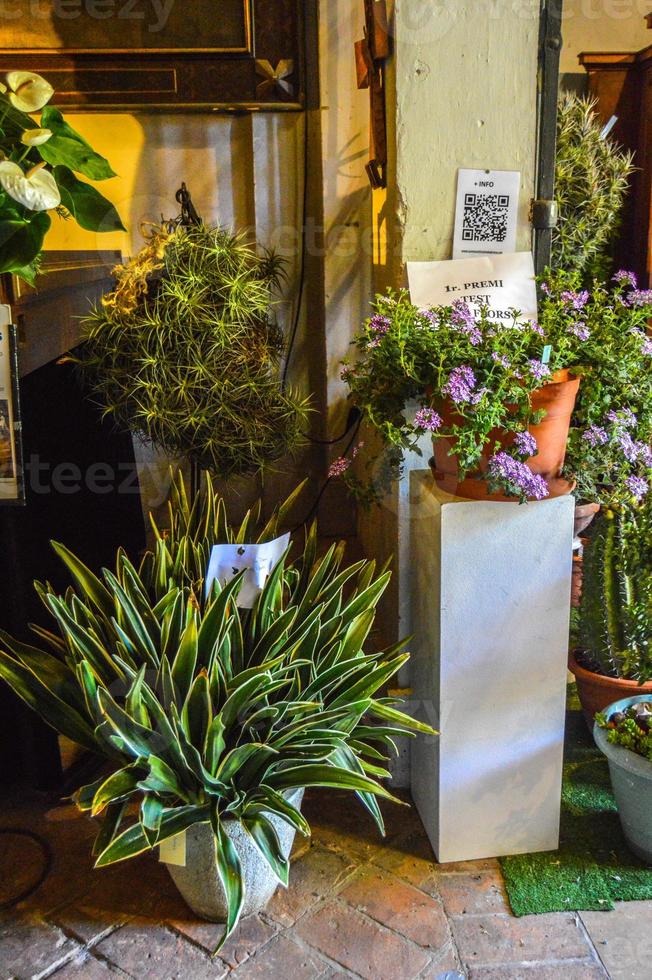 Flower Festival in Girona Temps de Flors, Spain. 2018 photo
