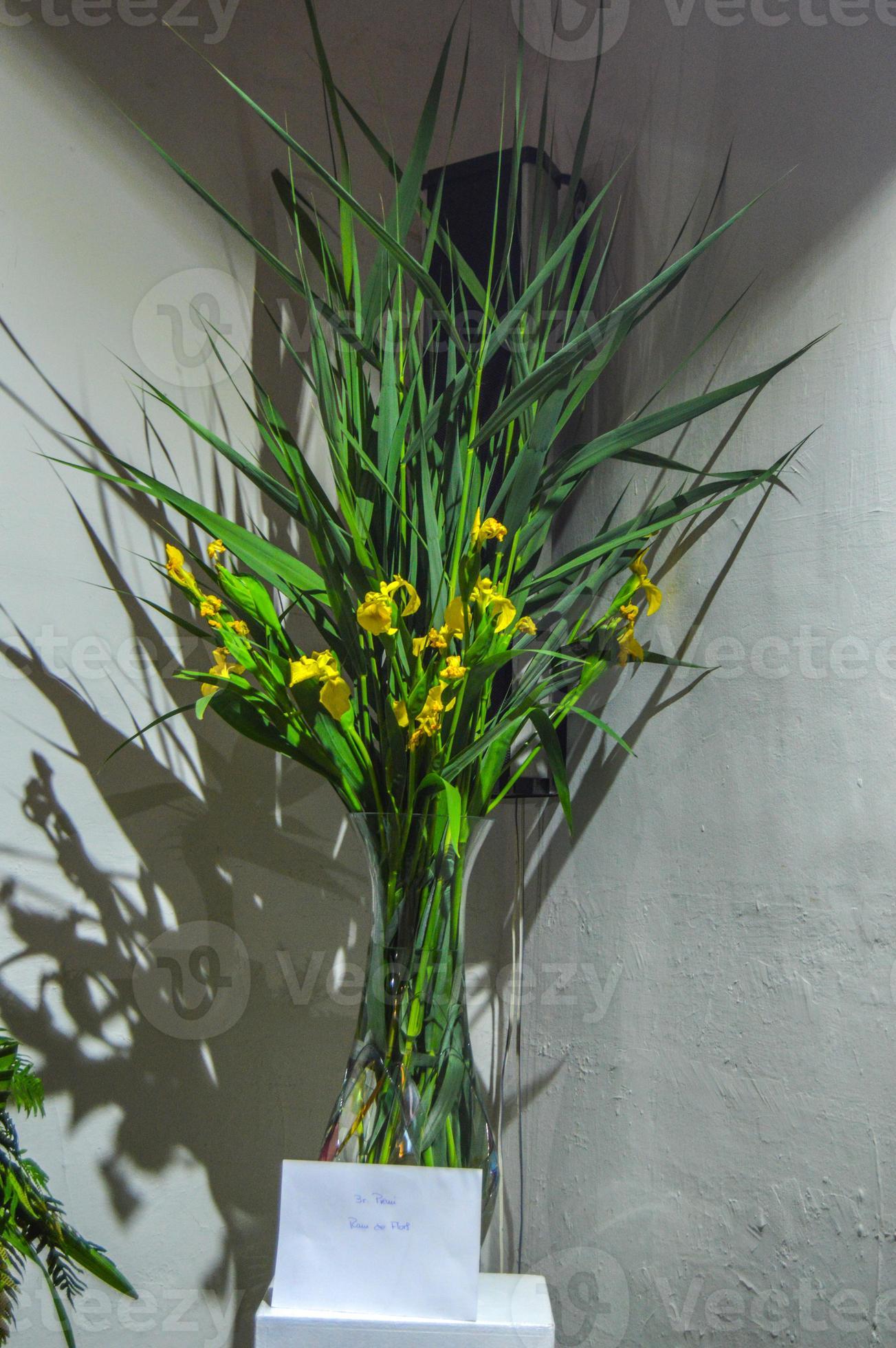 Flower Festival in Girona Temps de Flors, Spain. 2018 3378548 Stock