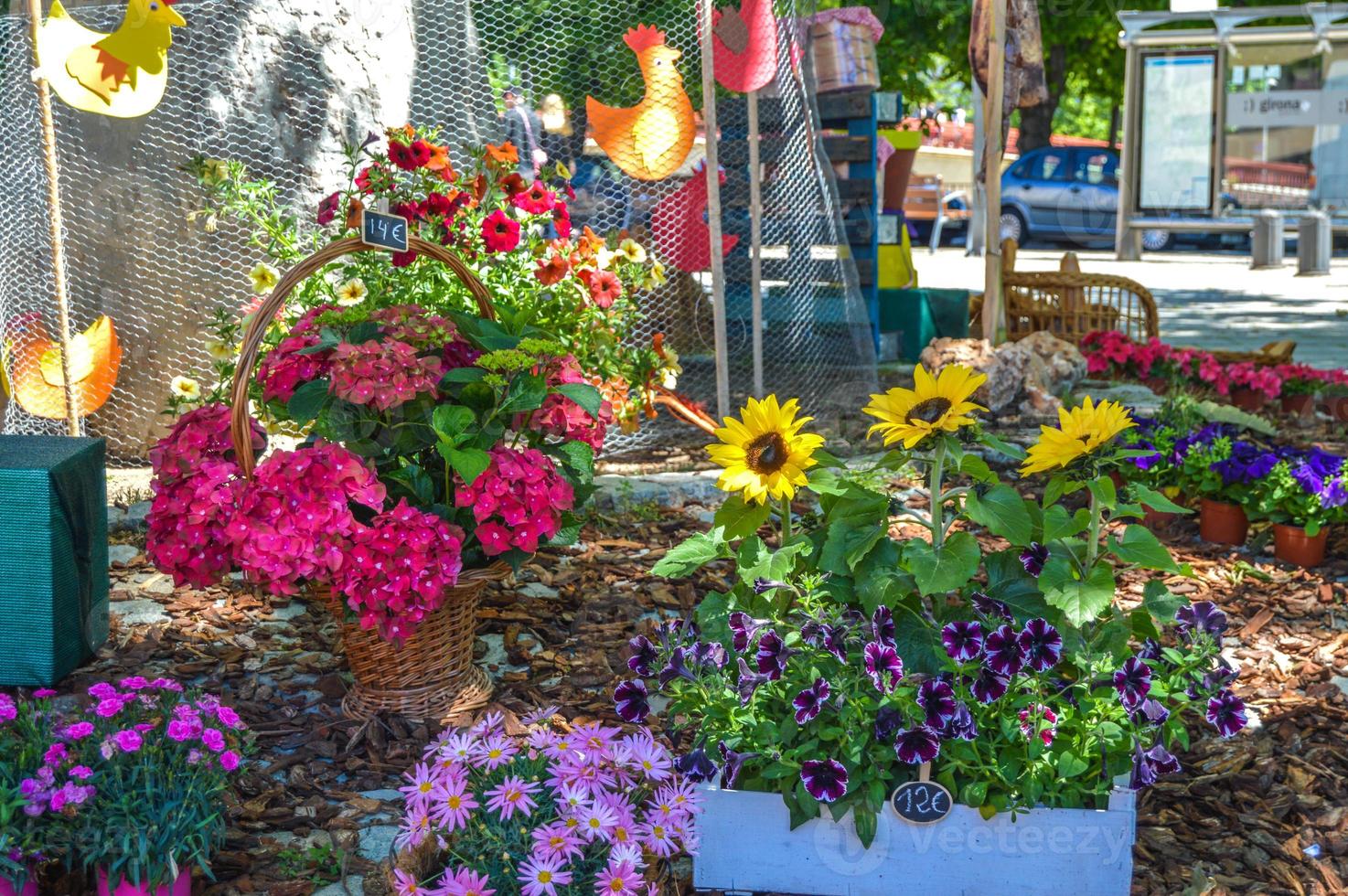 Flower Festival in Girona Temps de Flors, Spain. 2018 photo