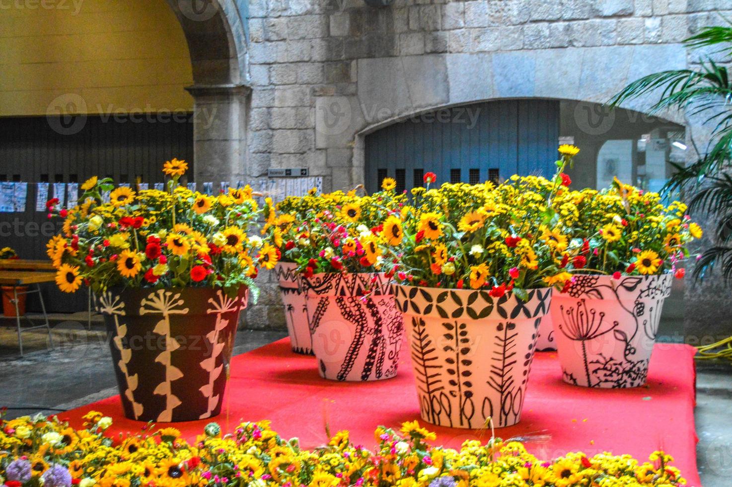 Flower Festival in Girona Temps de Flors, Spain. 2018 photo