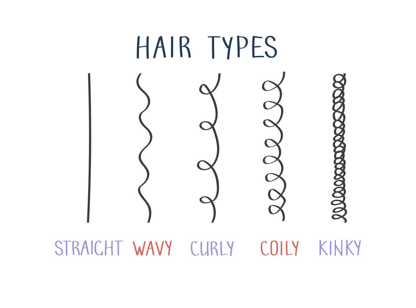 Hair types with curl types labeled. Curly girl method concept vector