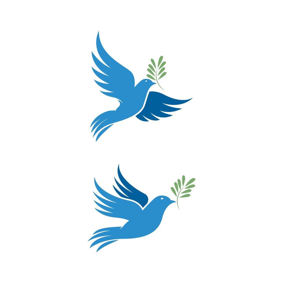 Bird wing Dove icon Template vector