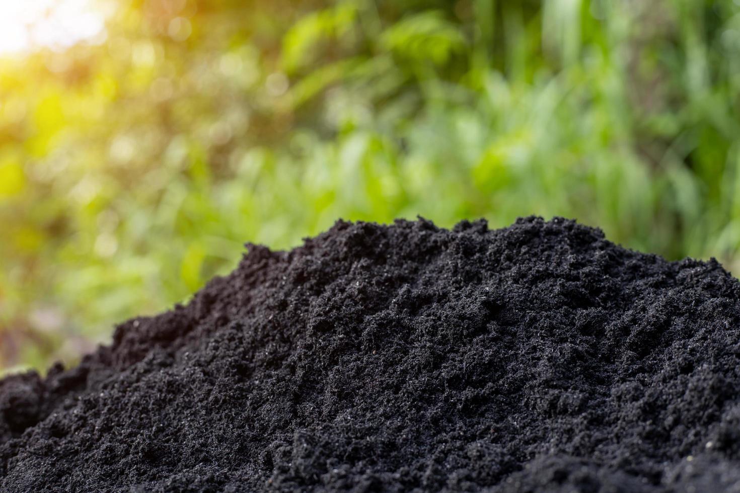 suelo y cáscaras negras para preparar la siembra foto