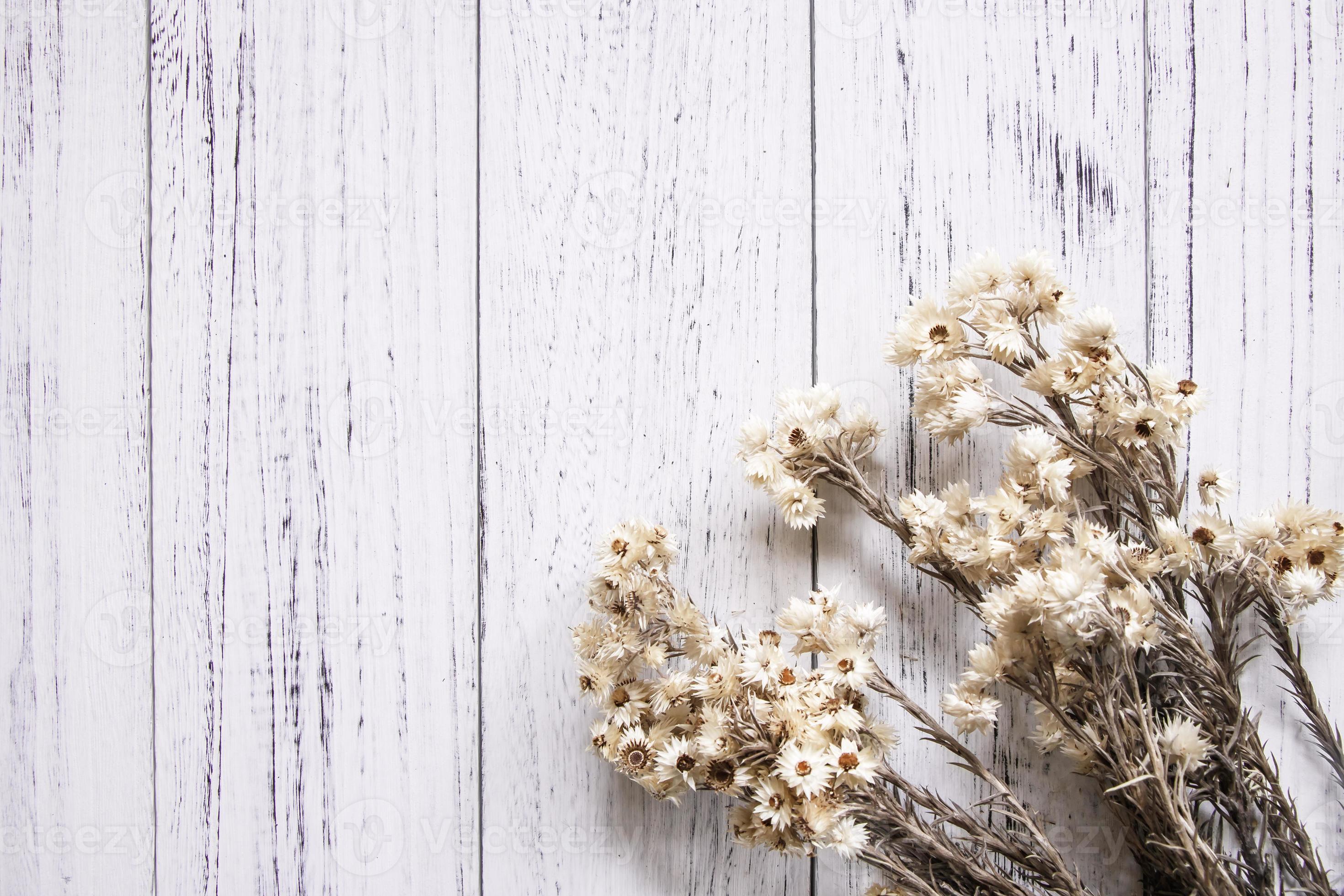 Dried white flowers on white wood 3379896 Stock Photo at Vecteezy