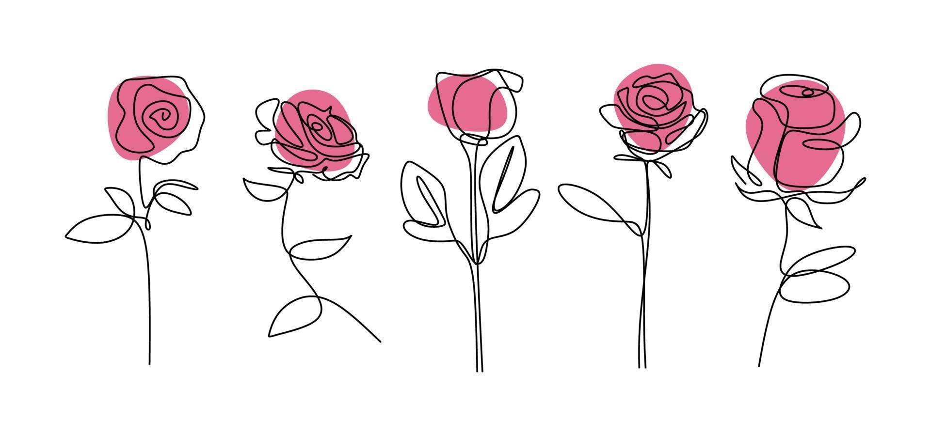 Rose flower continuous line drawing Minimalism floral botanical vector