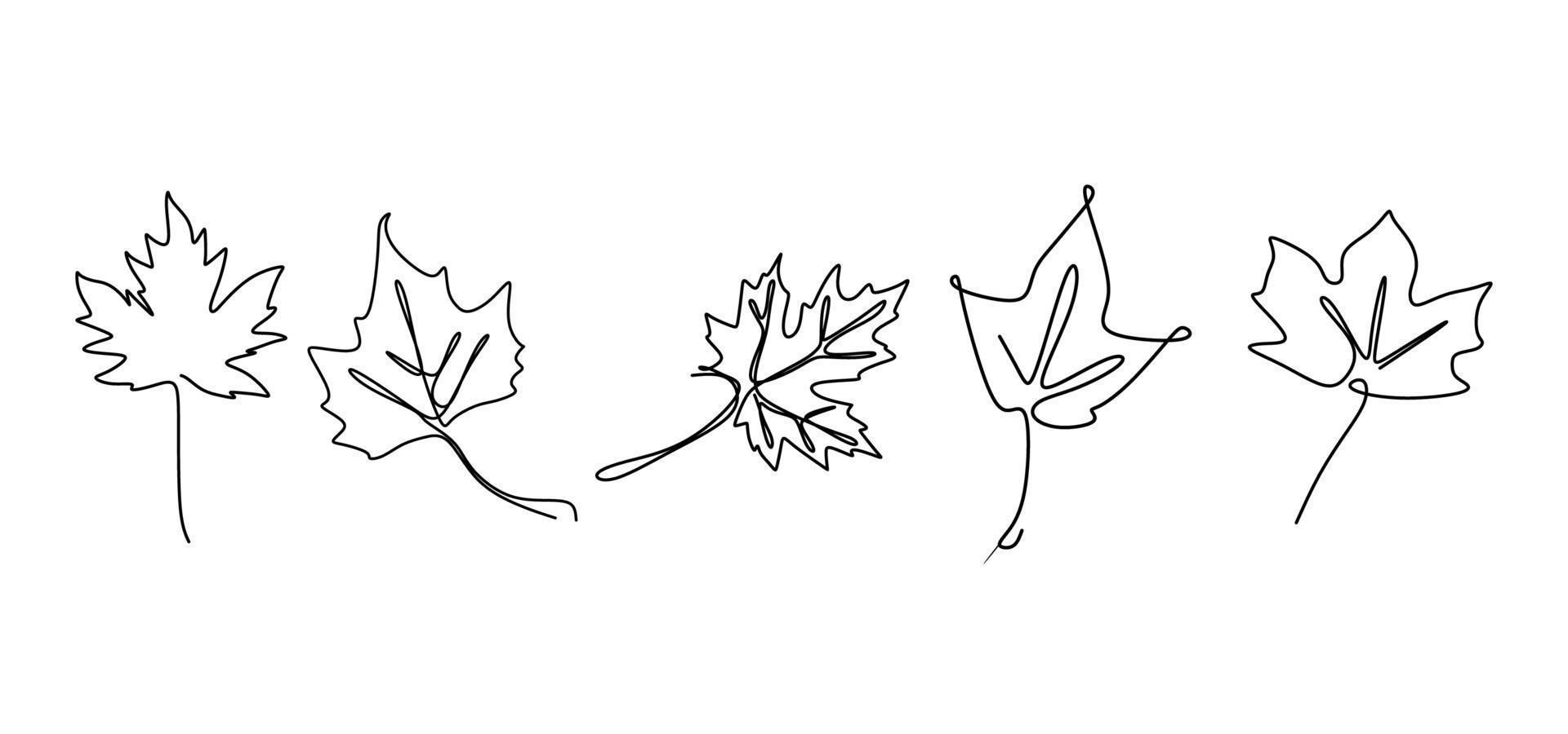 Continuous line drawing of maple leaves hand drawn set vector