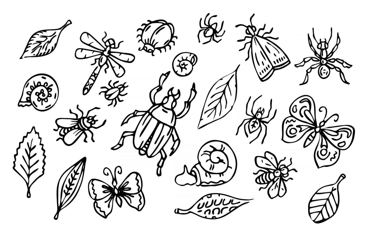 Conjunto de insectos y hojas vectoriales, colección de bichos de esquema vector