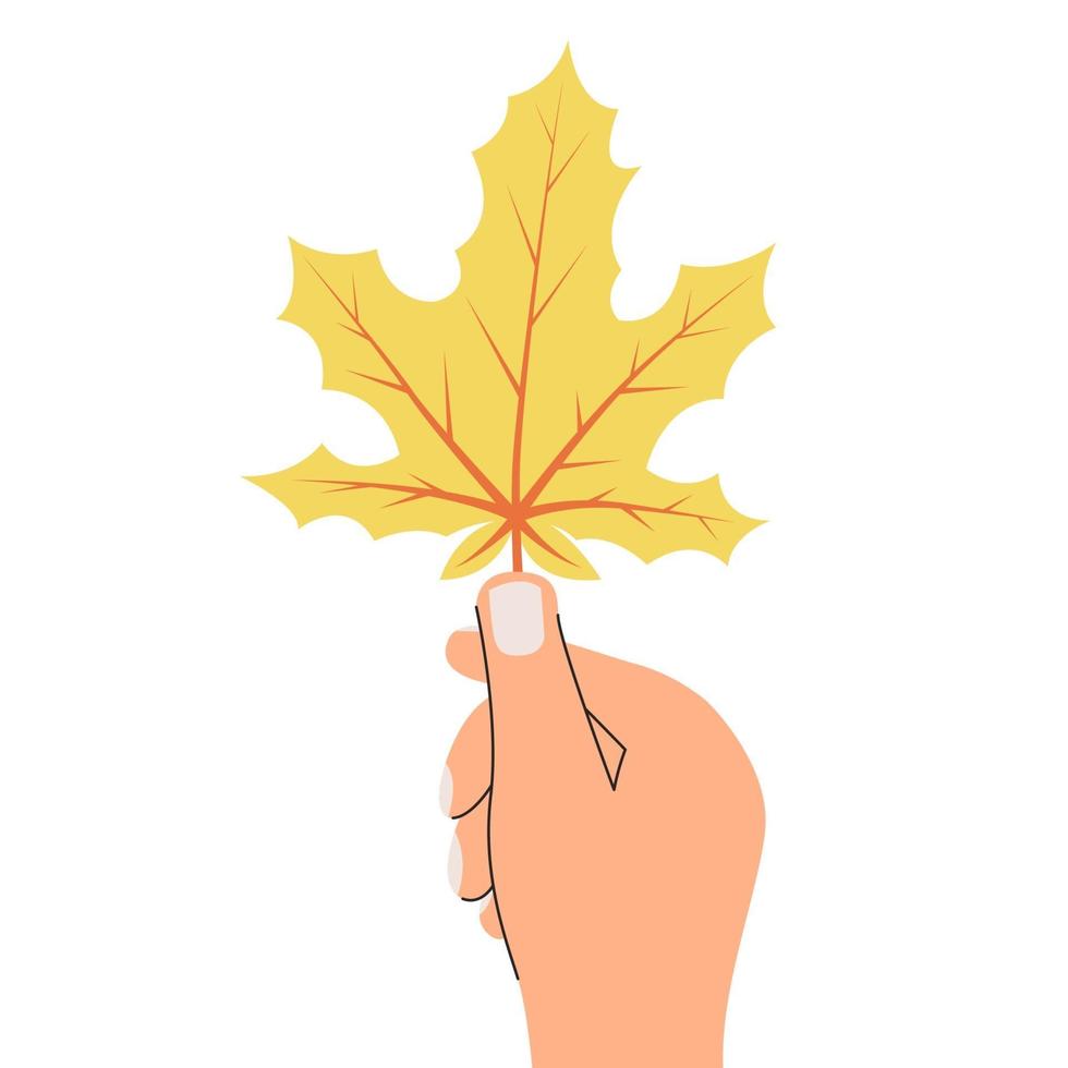 Human hand holding yellow maple leaf isolated vector