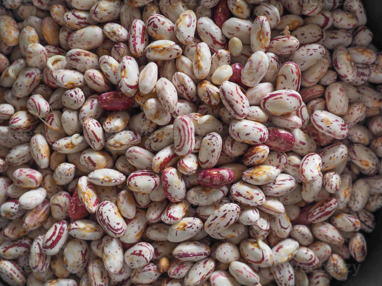 Crimson beans food background photo