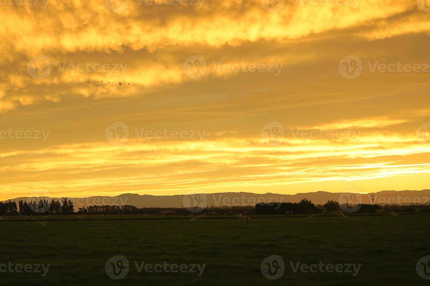 pájaros volando a través de las nubes durante la puesta de sol foto