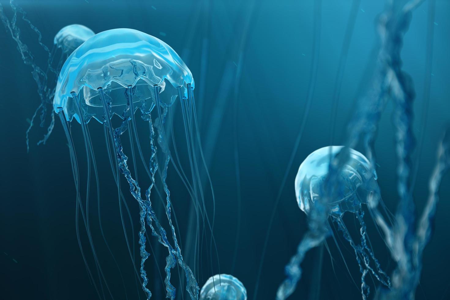 Jellyfish swims in the ocean sea photo