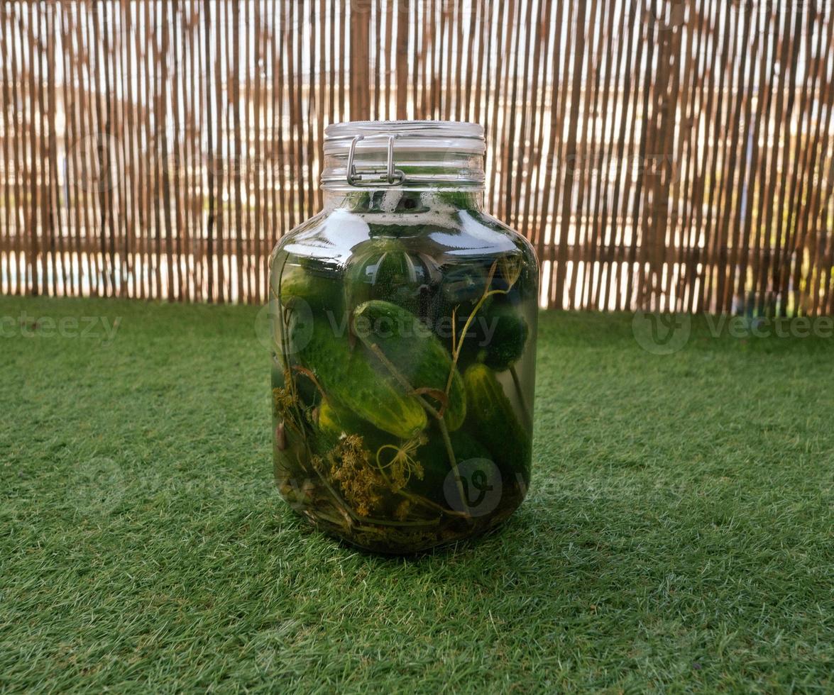 pickled cucumbers in a closed jar standing on the green photo