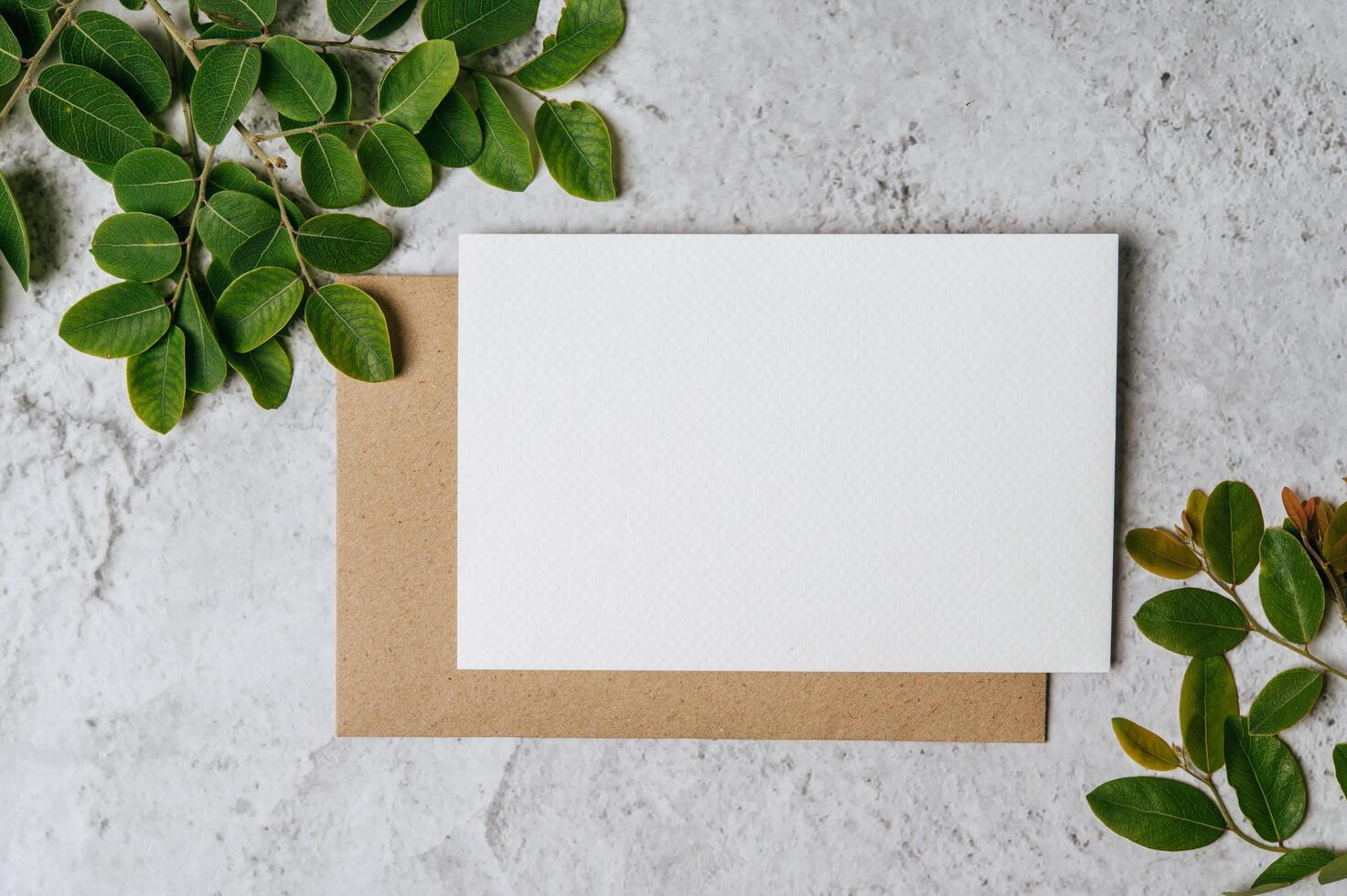 A blank card with envelope and leaf is placed on white background photo