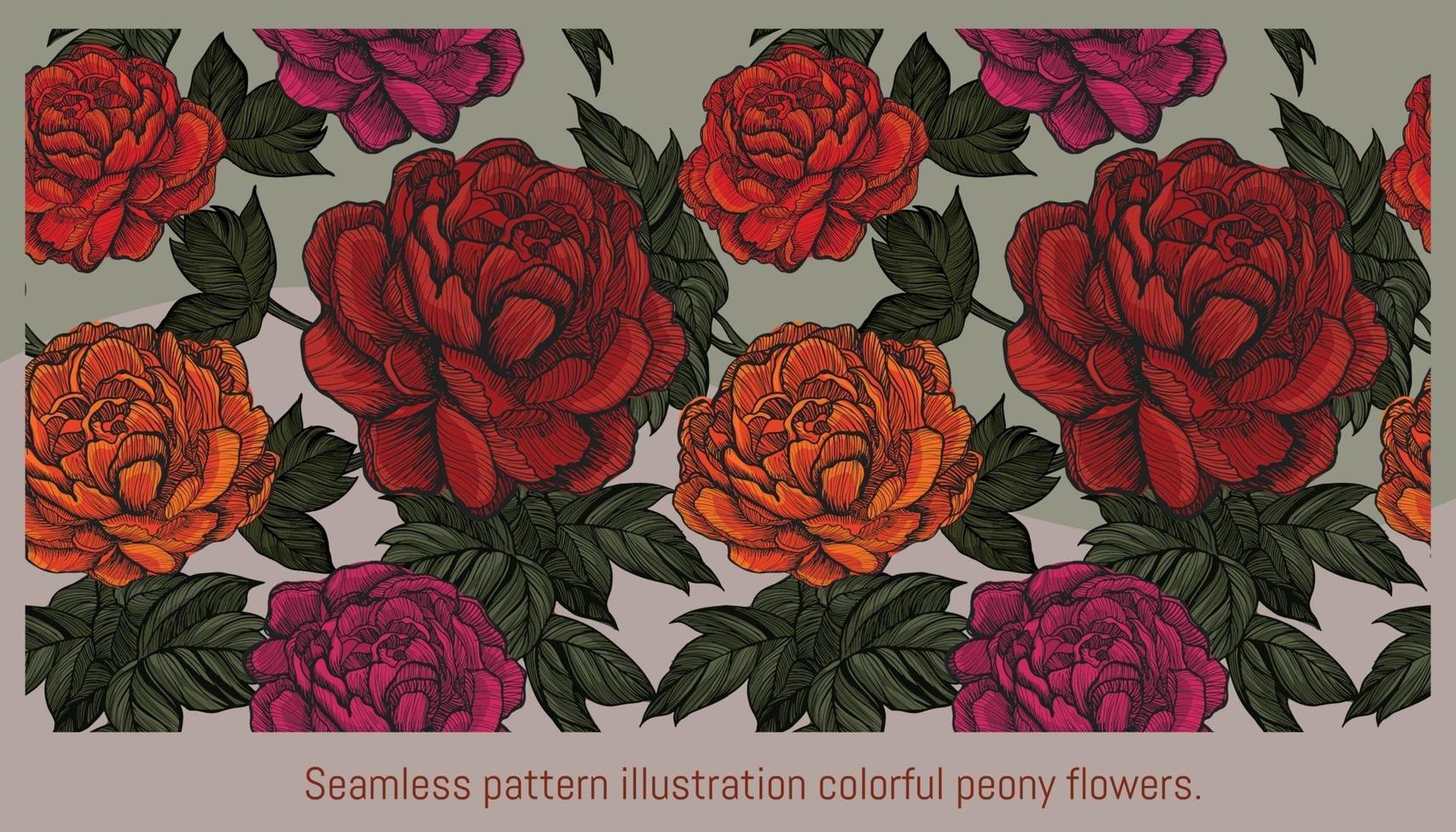 Seamless pattern illustration colorful peony flowers. vector