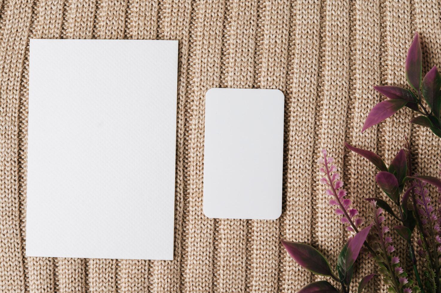 two blank card and a leaf on a sweater photo