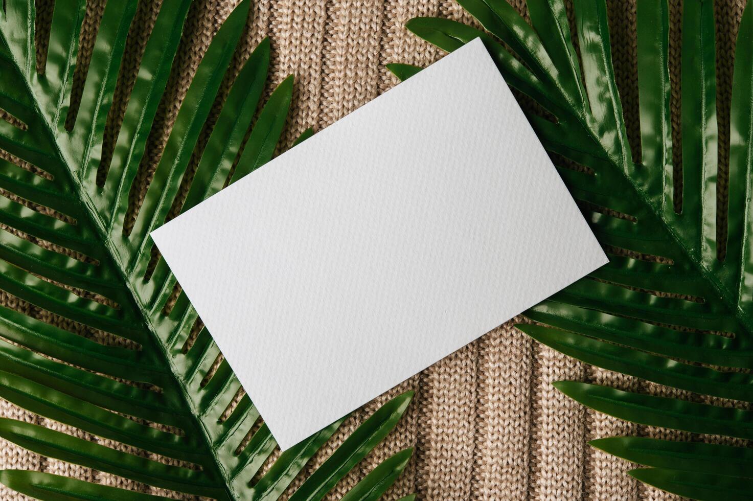 A blank card is placed on leaf and a sweater photo