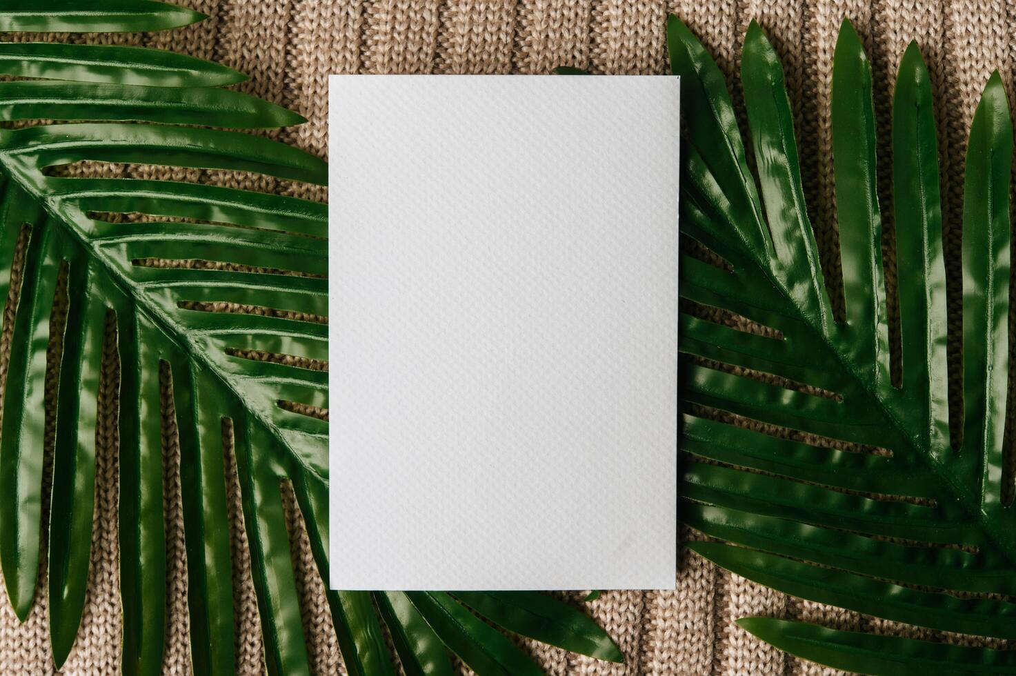 A blank card is placed on leaf and a sweater photo